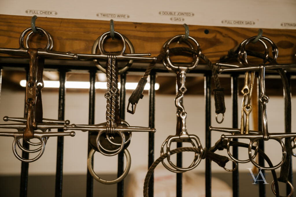 bridle bits - Equine photography