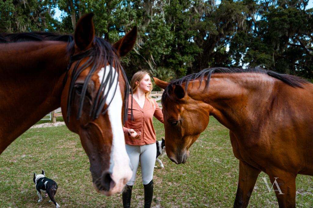 Equine photography